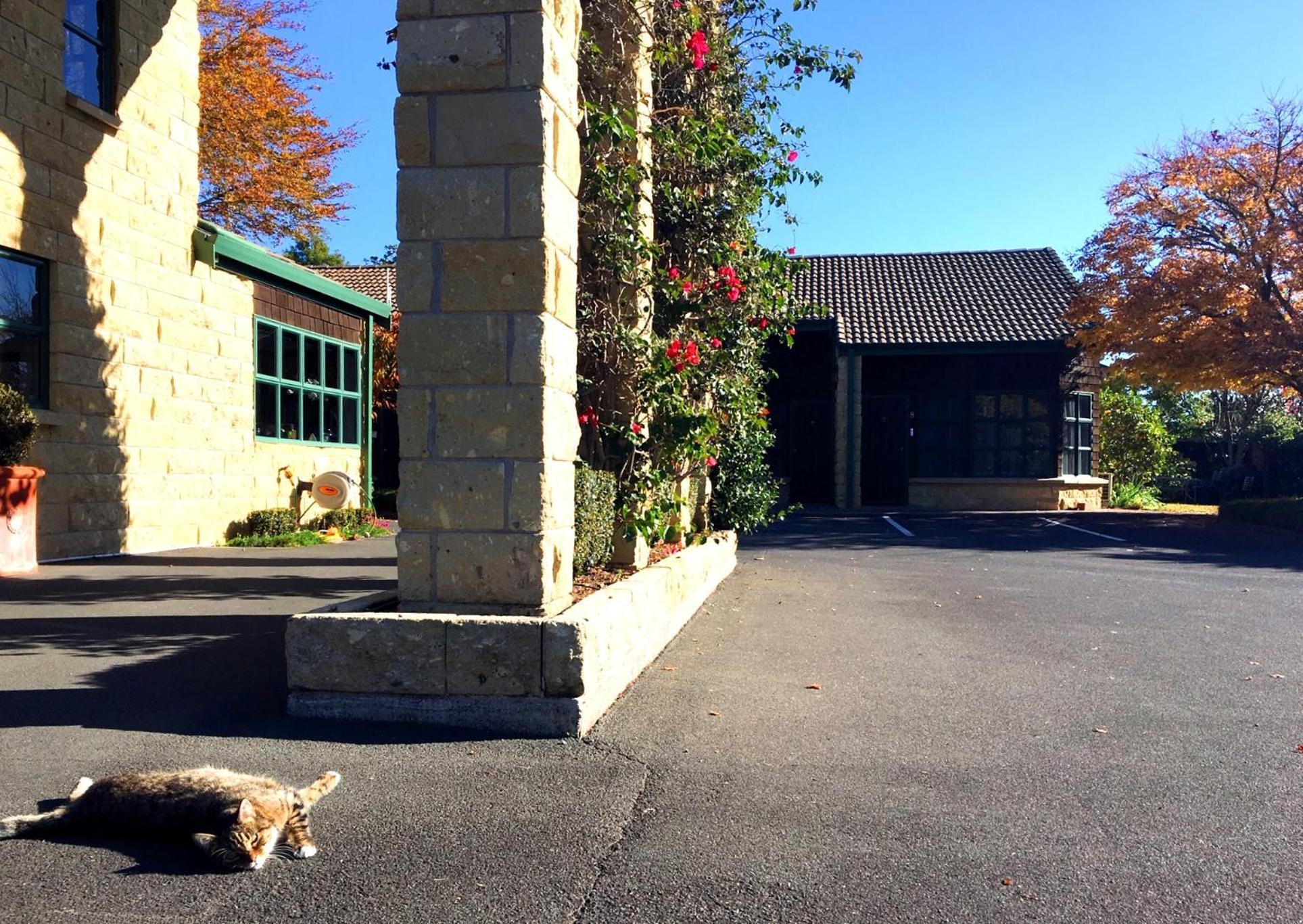 Cambridge Mews Motel Exterior foto